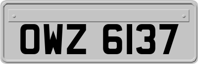 OWZ6137