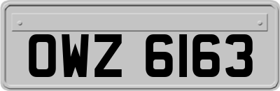 OWZ6163