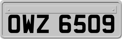 OWZ6509