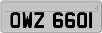 OWZ6601