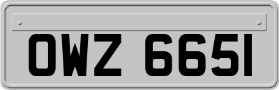 OWZ6651
