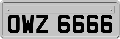 OWZ6666