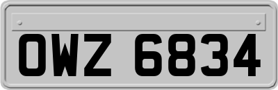OWZ6834