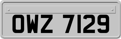 OWZ7129