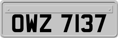 OWZ7137