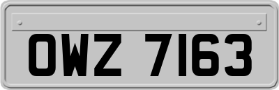 OWZ7163