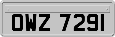 OWZ7291