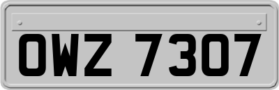 OWZ7307