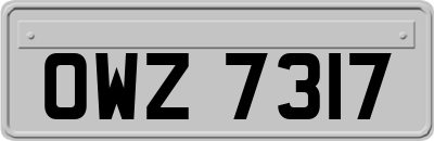 OWZ7317