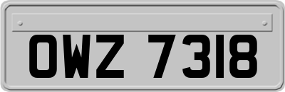 OWZ7318