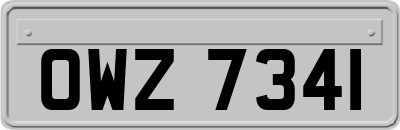 OWZ7341