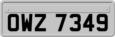OWZ7349