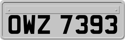 OWZ7393