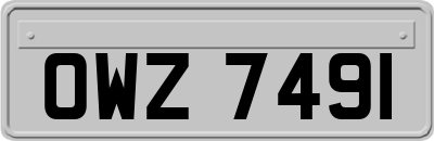 OWZ7491
