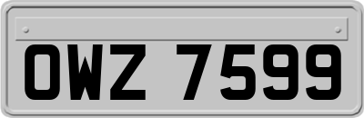 OWZ7599