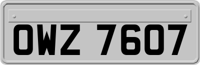 OWZ7607