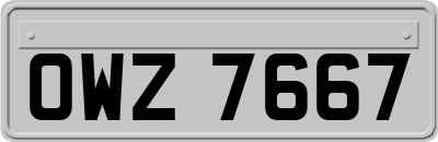 OWZ7667
