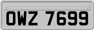 OWZ7699
