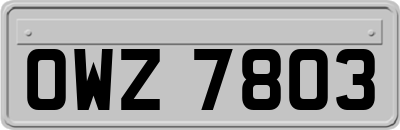 OWZ7803