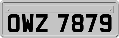OWZ7879