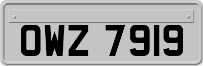 OWZ7919