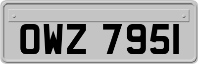 OWZ7951