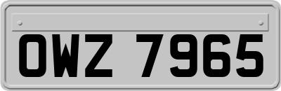 OWZ7965