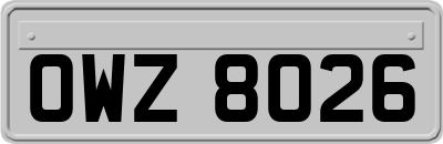 OWZ8026