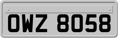 OWZ8058