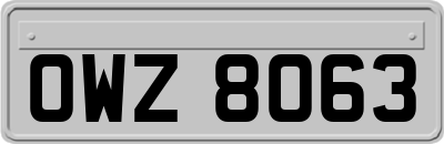 OWZ8063