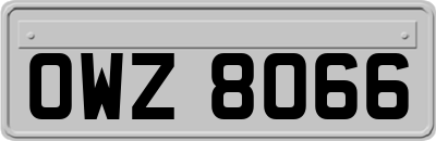 OWZ8066