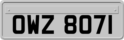 OWZ8071