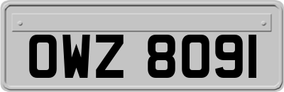 OWZ8091
