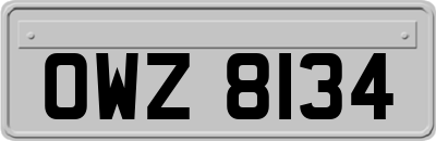 OWZ8134