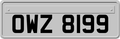 OWZ8199