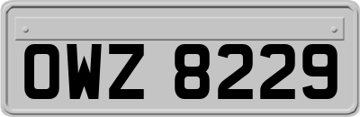 OWZ8229