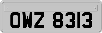OWZ8313