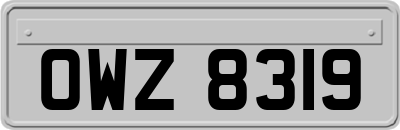 OWZ8319