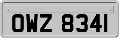 OWZ8341