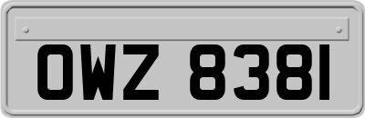OWZ8381