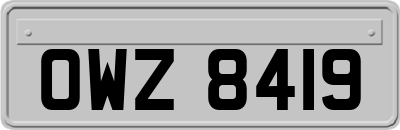 OWZ8419