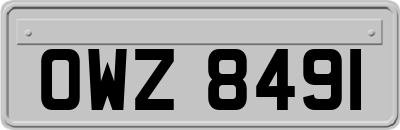 OWZ8491