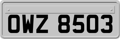 OWZ8503