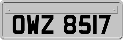 OWZ8517