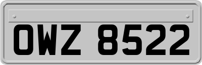 OWZ8522