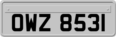 OWZ8531