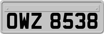OWZ8538