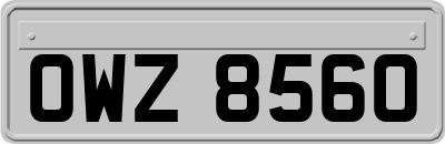 OWZ8560