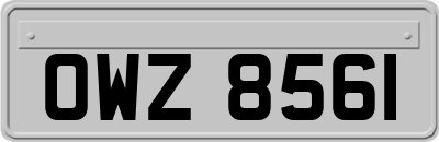 OWZ8561