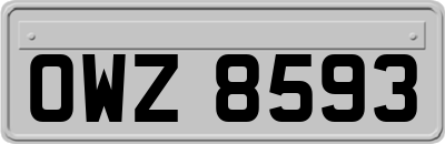 OWZ8593